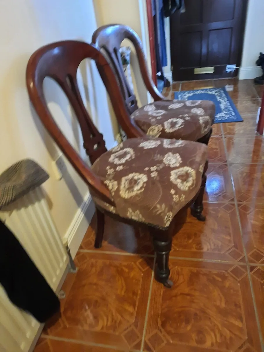 Pair of antique parlour chairs - Image 4