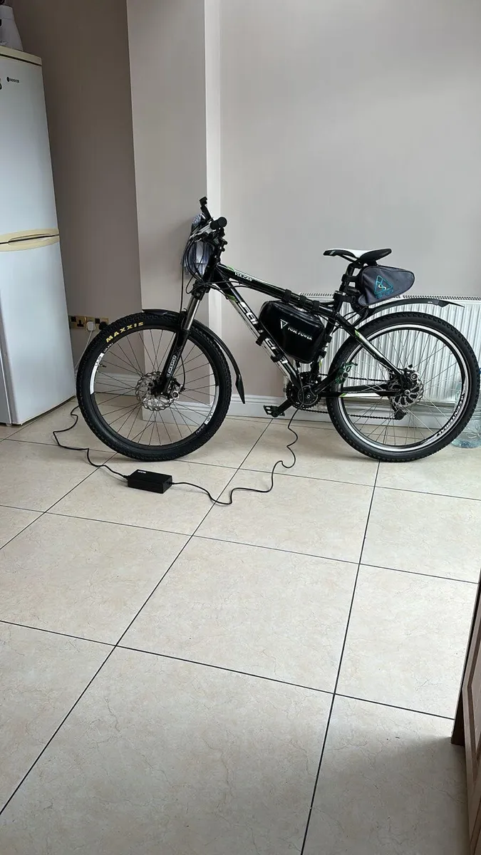 Electric Bike - Image 2