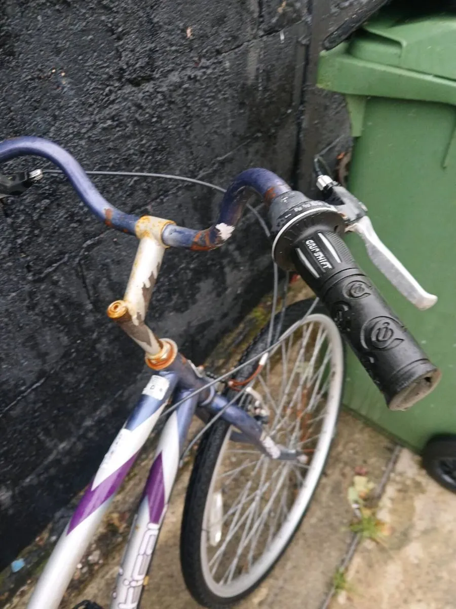Bike - Image 4