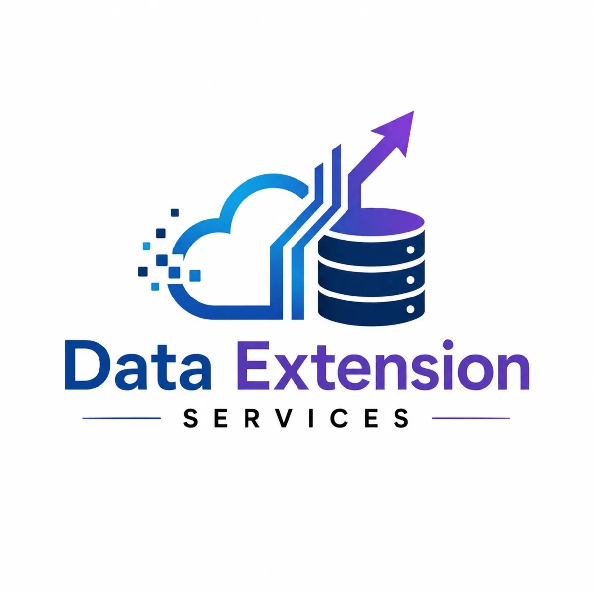 Data extension services