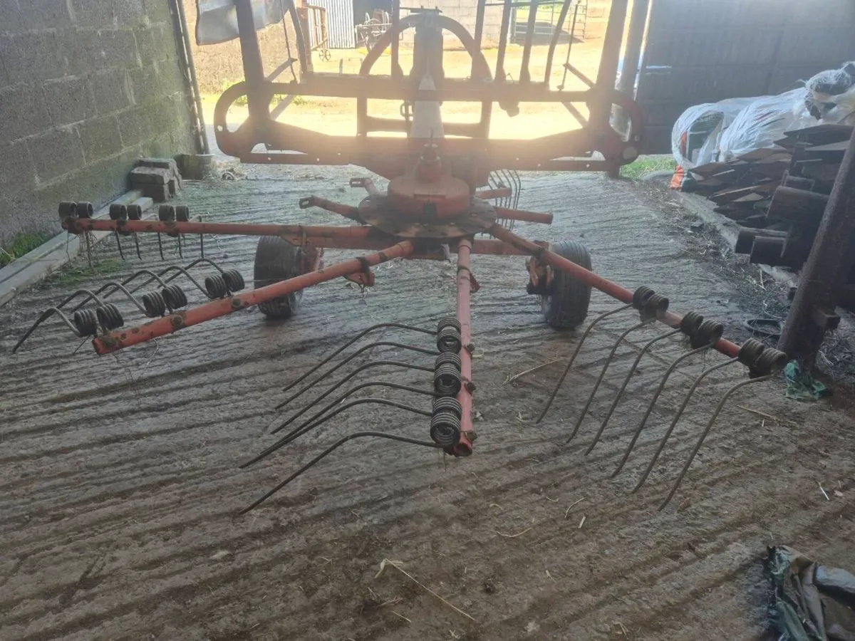 Rake - Image 3