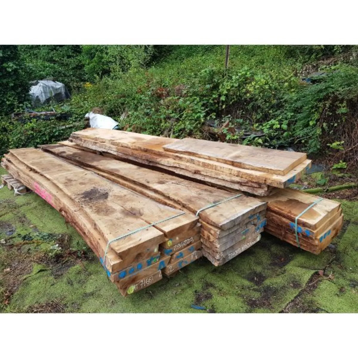 Oak Live Edge – Raw State - Image 1