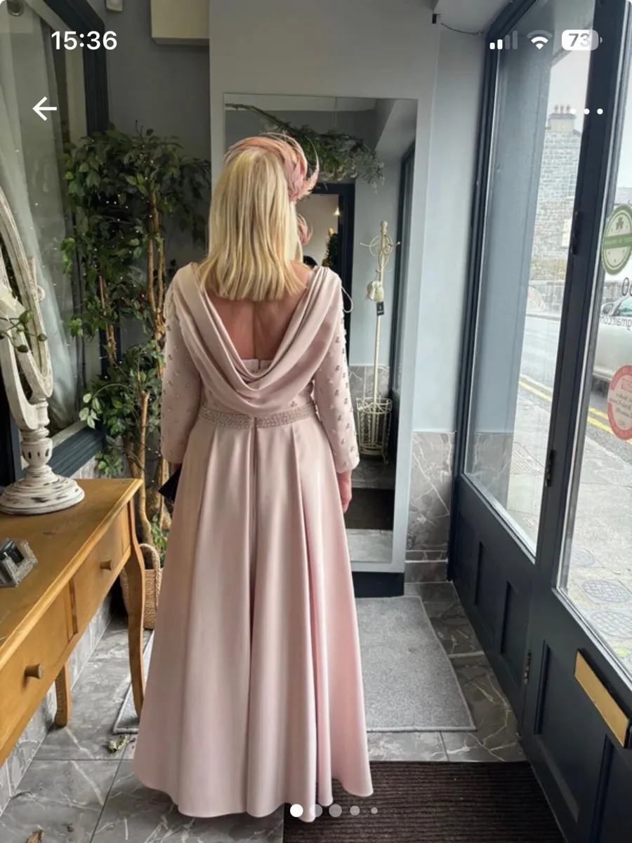 Mother of the Bride Dress - Image 1