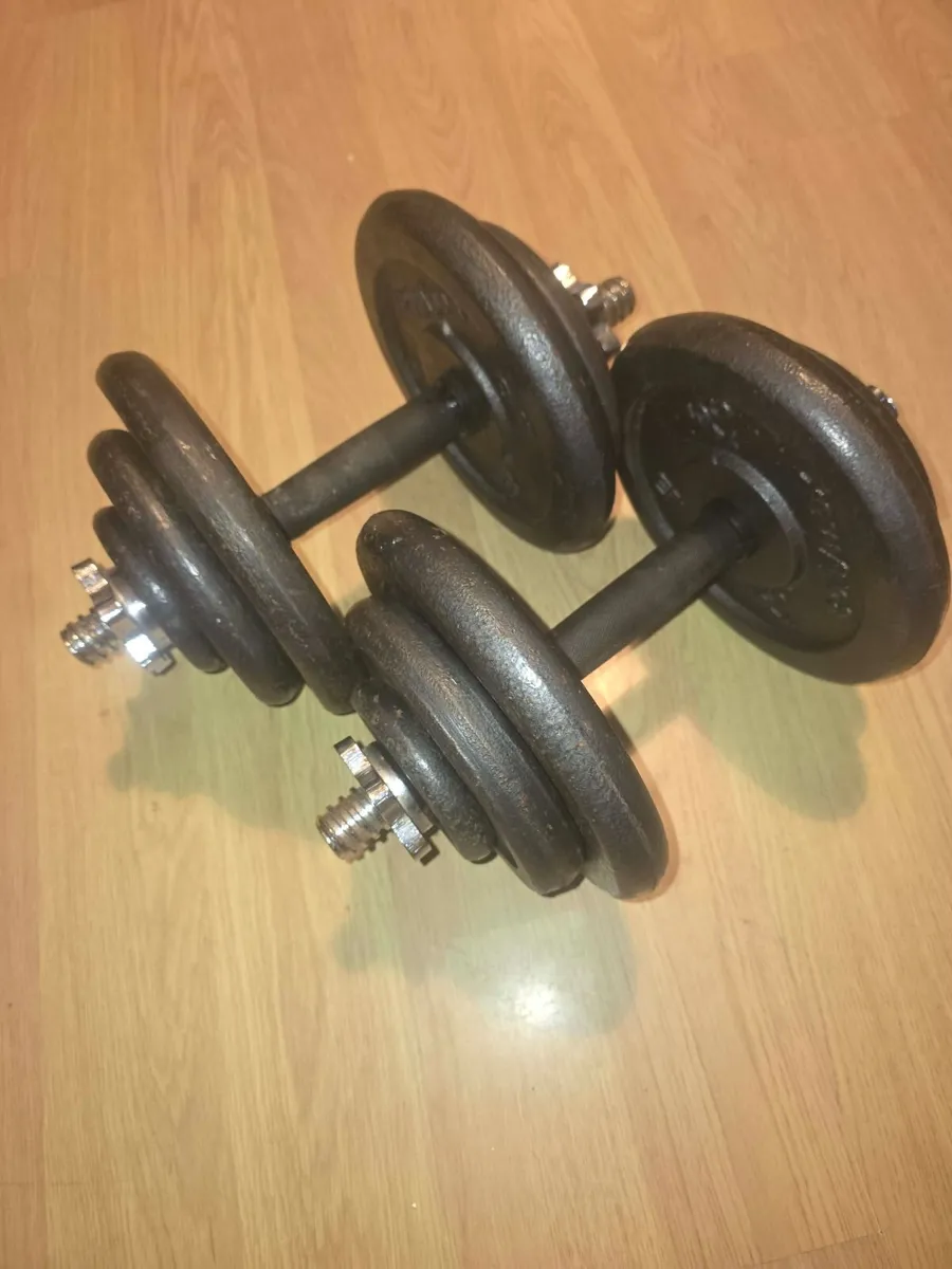 Dumbbells 2×18kg - Image 2