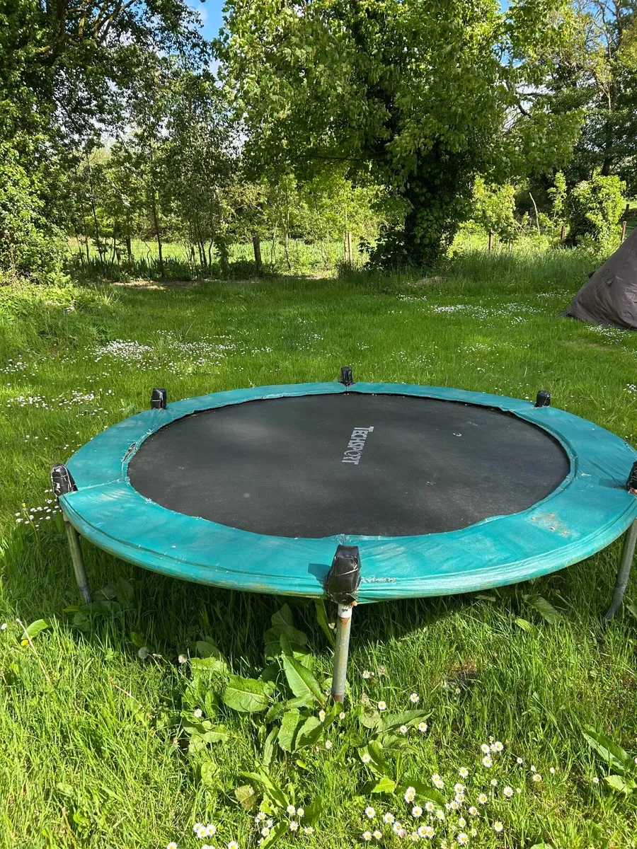 Trampoline free to take