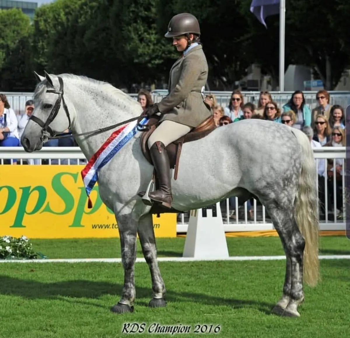 Black shadow at stud