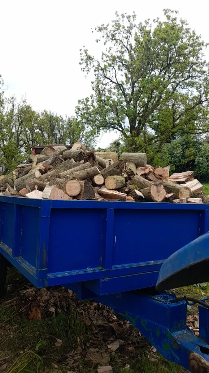 Firewood - Image 1