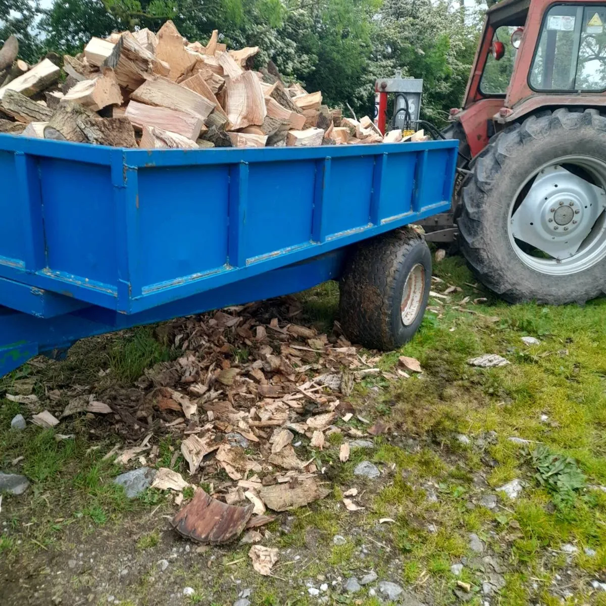 Firewood - Image 2