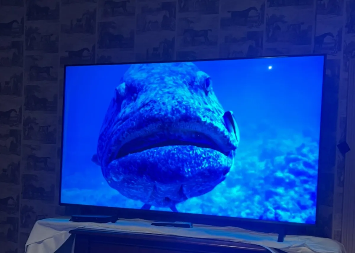 LG TV - Image 2