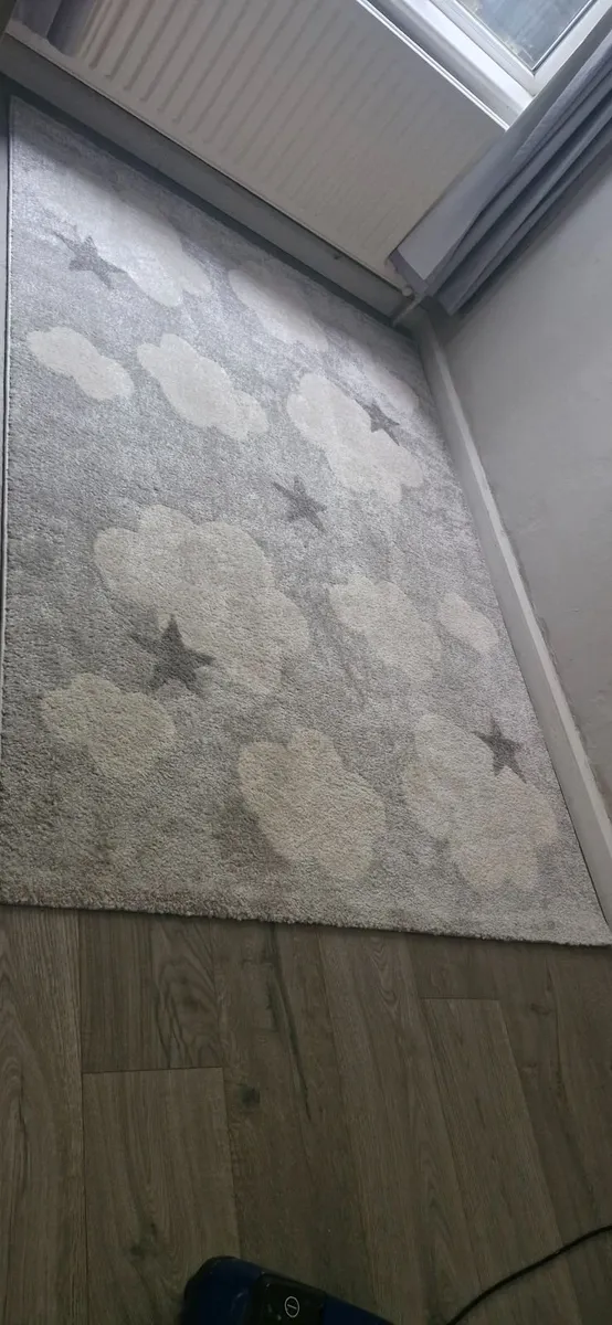 Rug - Image 1