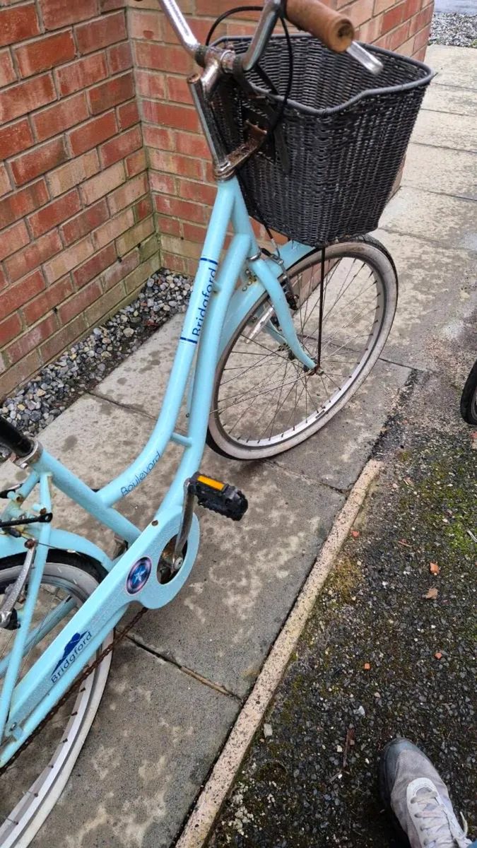 Ladies woman bike bridgeford boulevard - Image 1