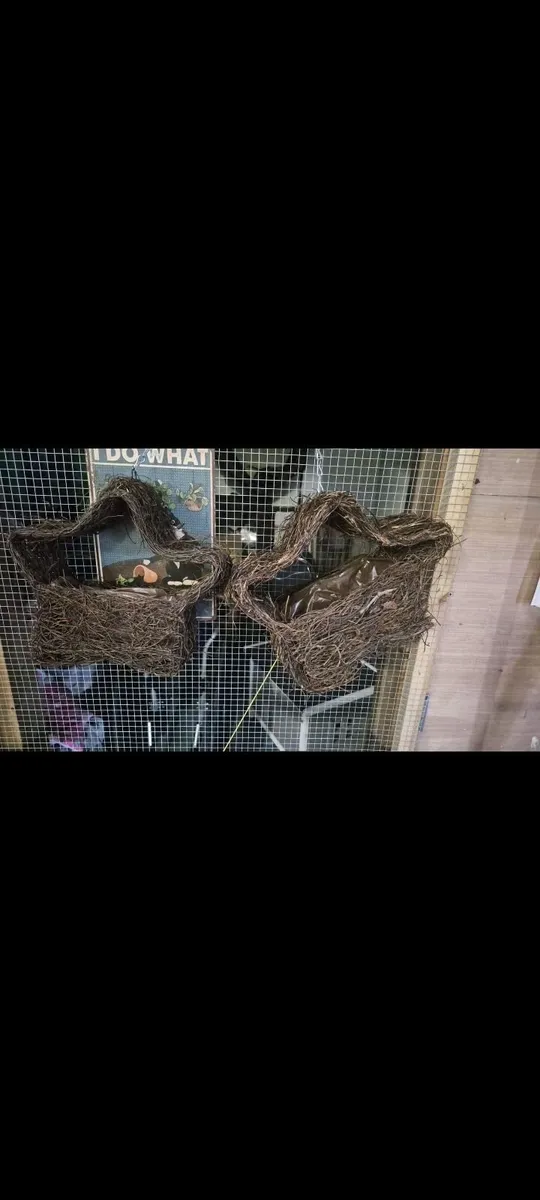 Hanging baskets