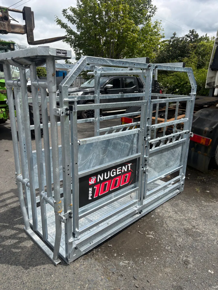 New nugent 1000 cattle crush - Image 2