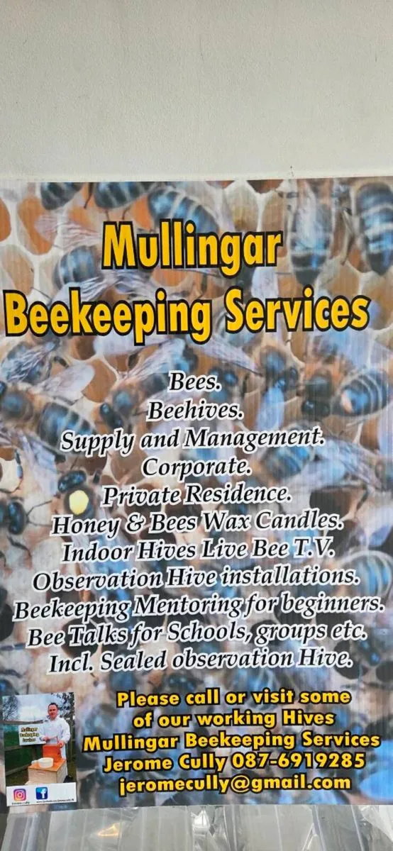 Bees. - Image 2