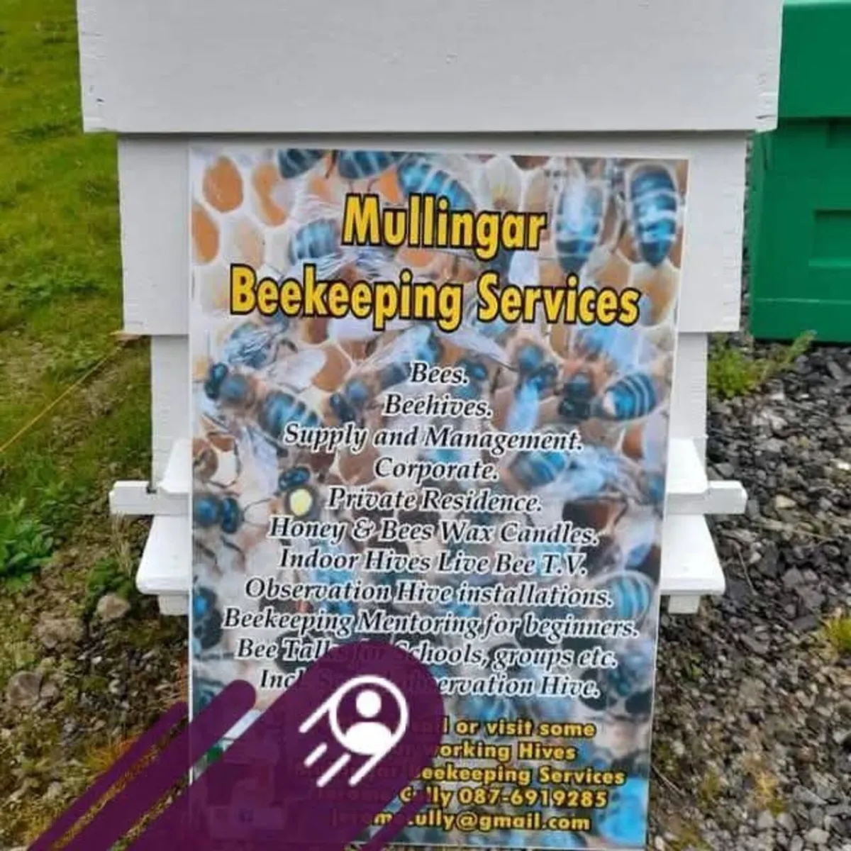 Bees. - Image 1