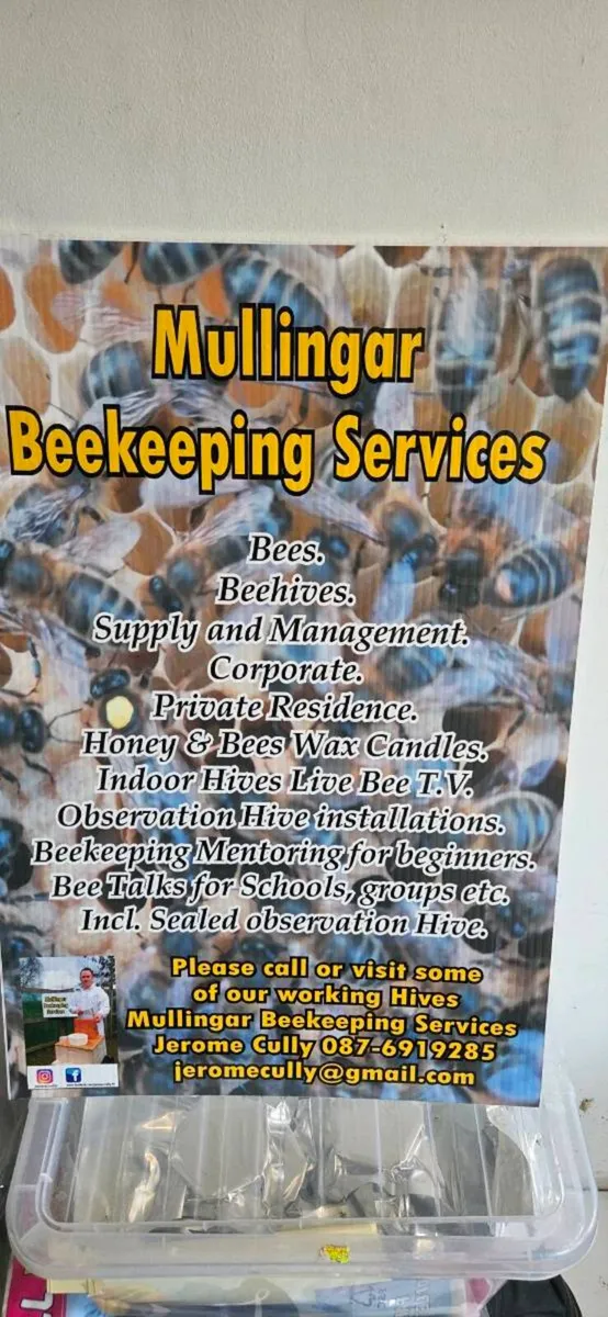 Bees. - Image 4