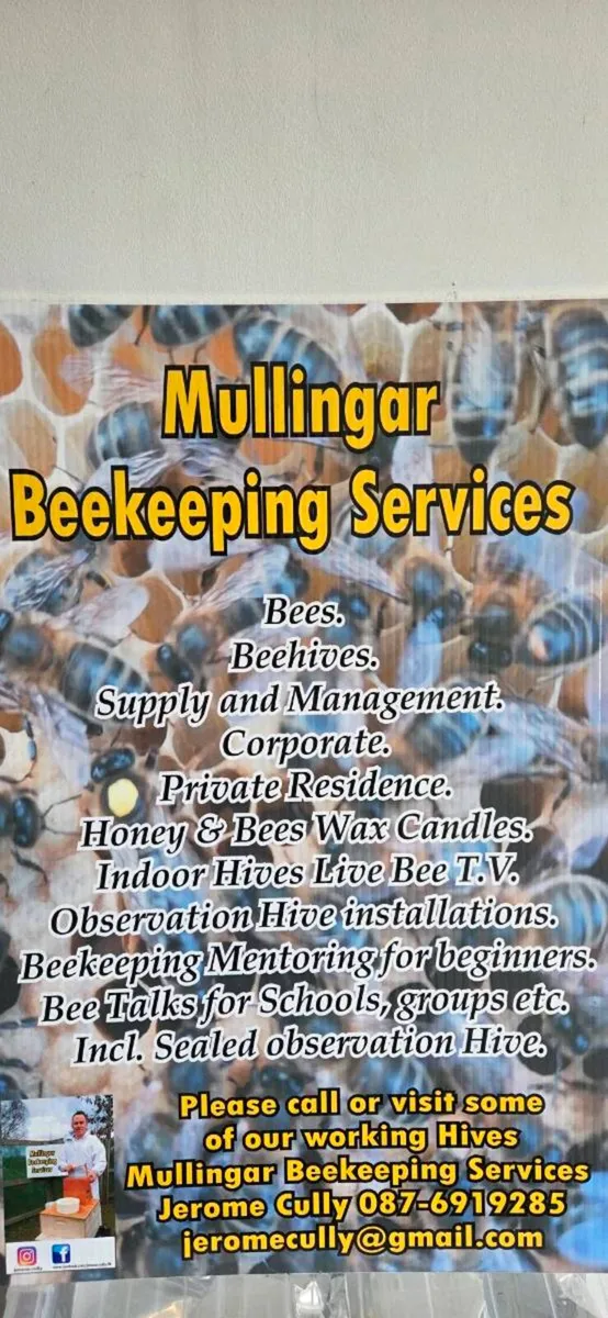 Bees. - Image 1