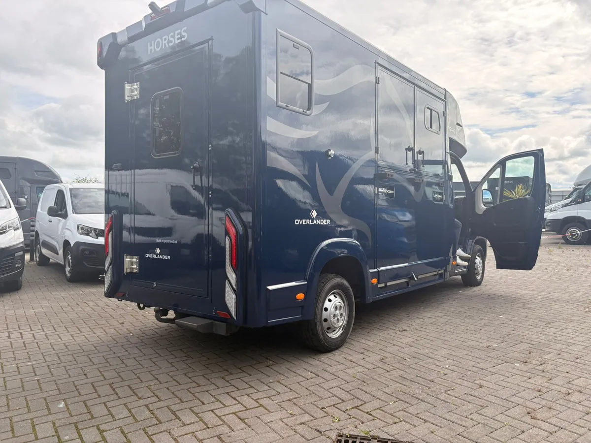 2 Stall HorseBox - Image 4