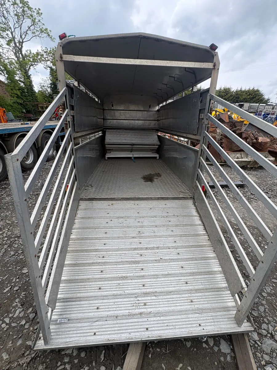 Hudson 12ft cattle trailer - Image 2
