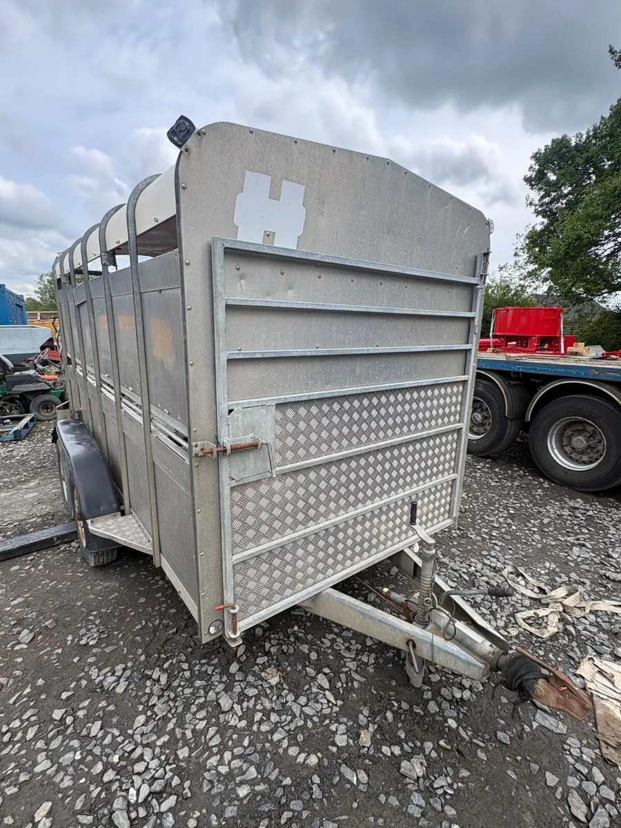Hudson 12ft cattle trailer - Image 1