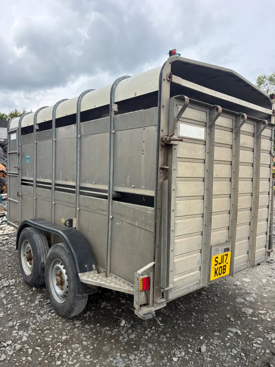 Hudson 12ft cattle trailer - Image 3