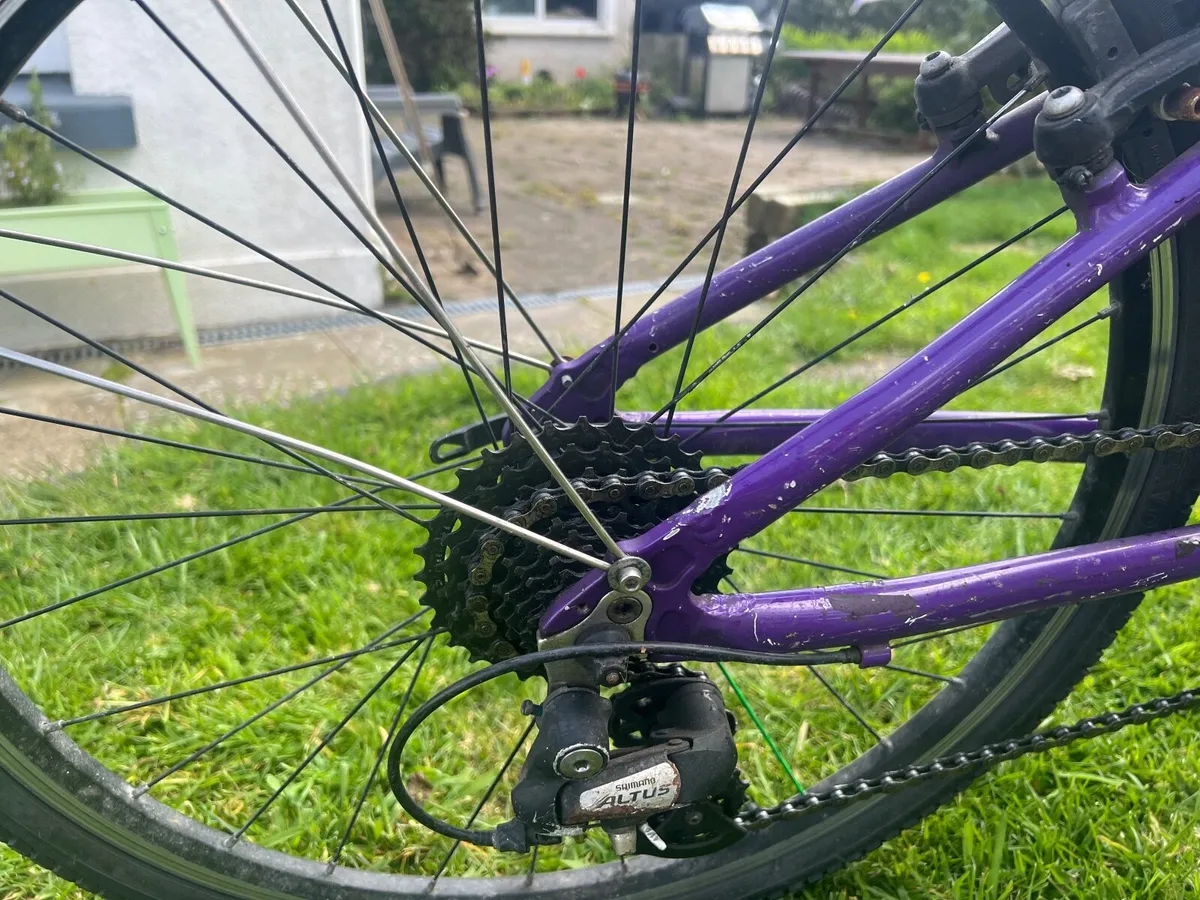 Frog 62 bike - Image 1