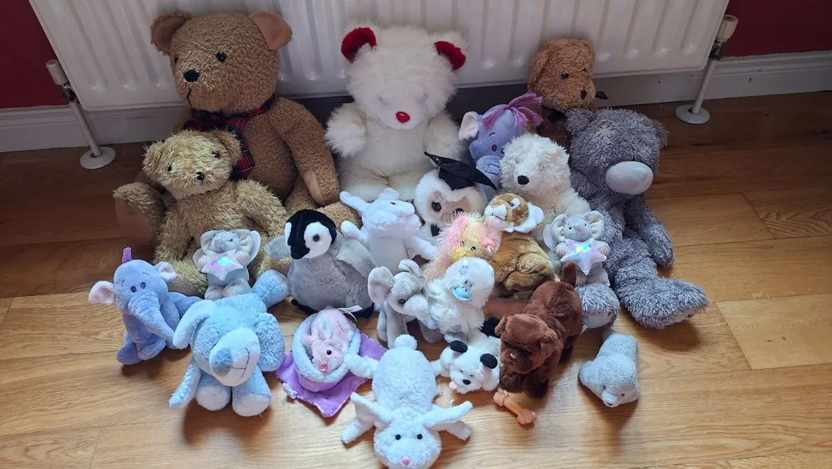 Soft toys/teddies - Image 1