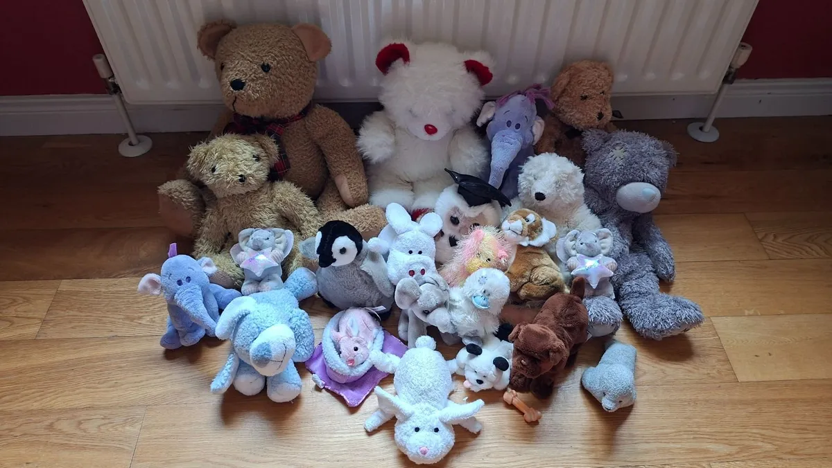 Soft toys/teddies - Image 2