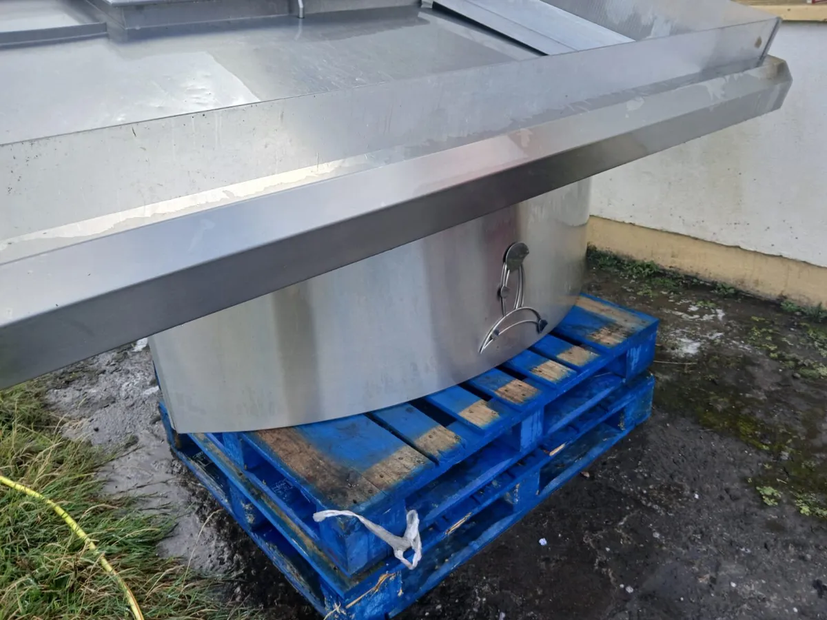 Stainless Steel Fish Display - Image 1