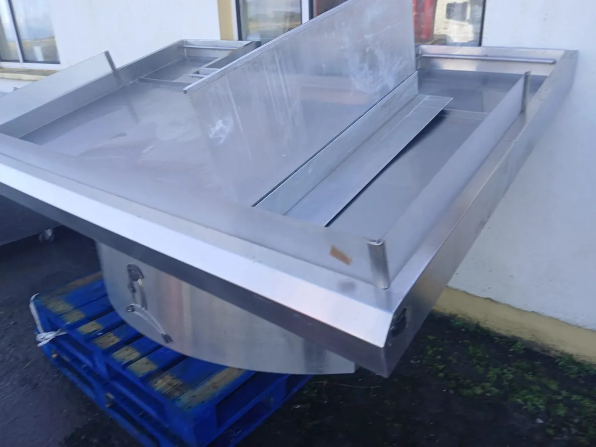 Stainless Steel Fish Display - Image 2