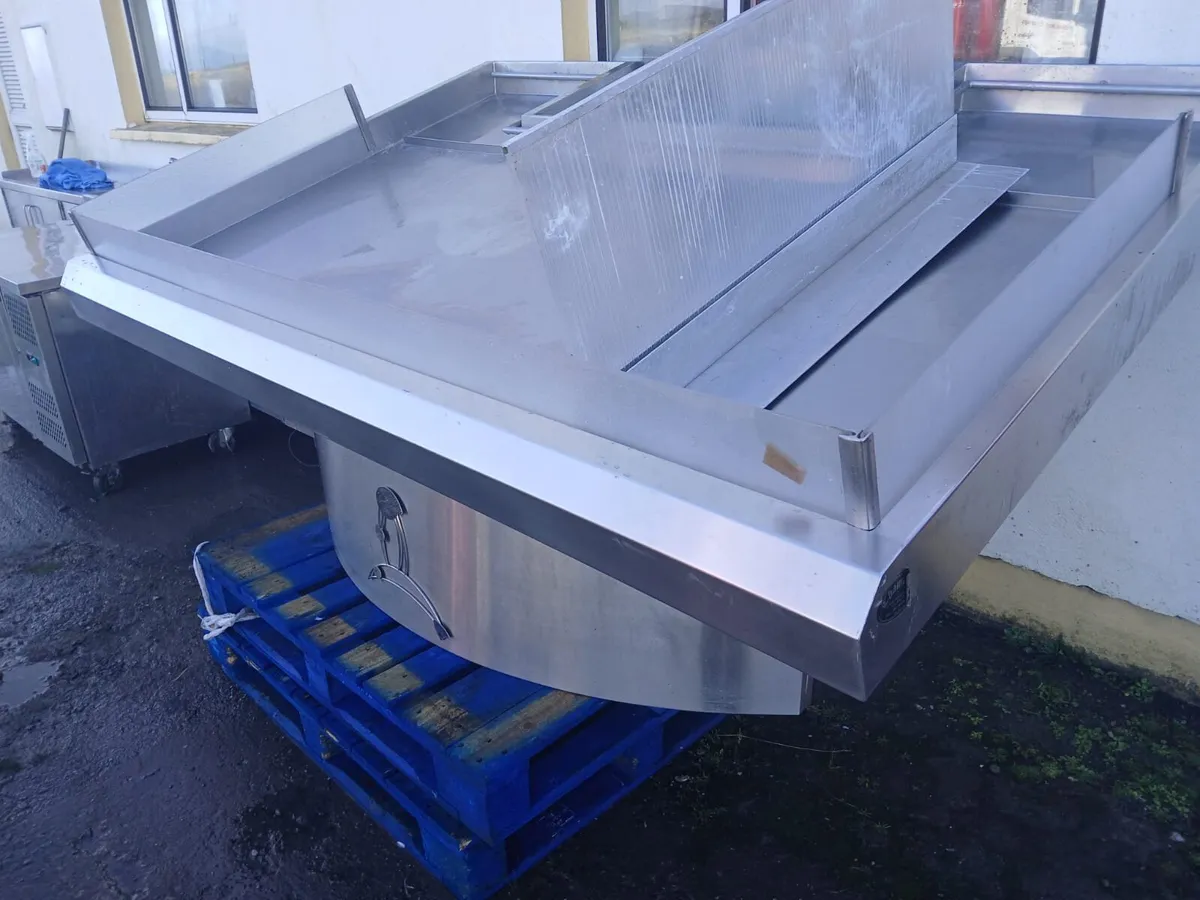 Stainless Steel Fish Display - Image 3