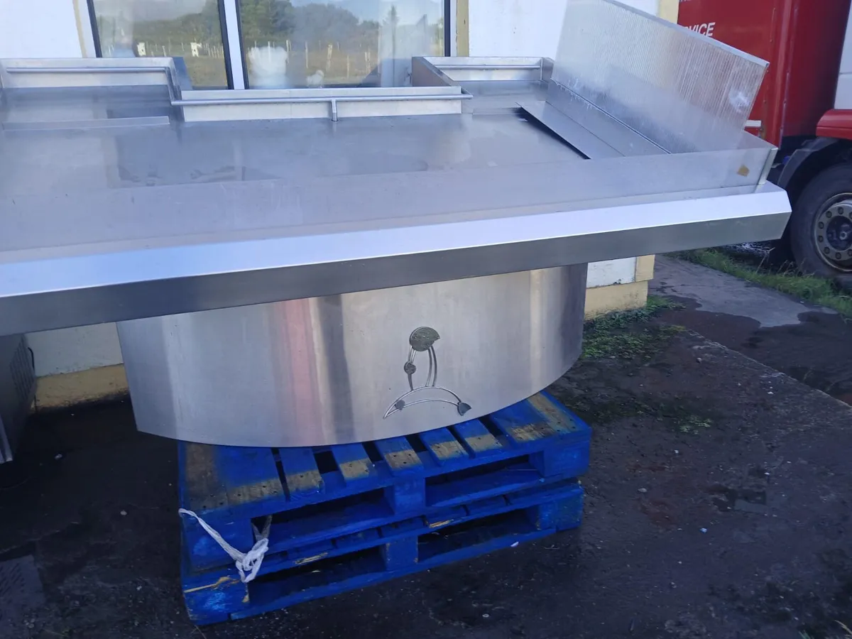 Stainless Steel Fish Display - Image 4