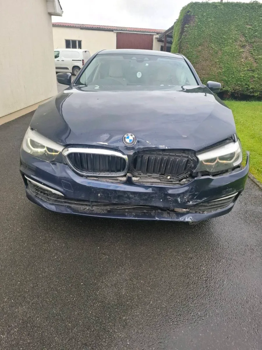 18 bmw 520d - Image 1