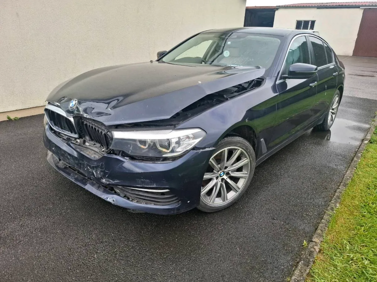 18 bmw 520d - Image 2