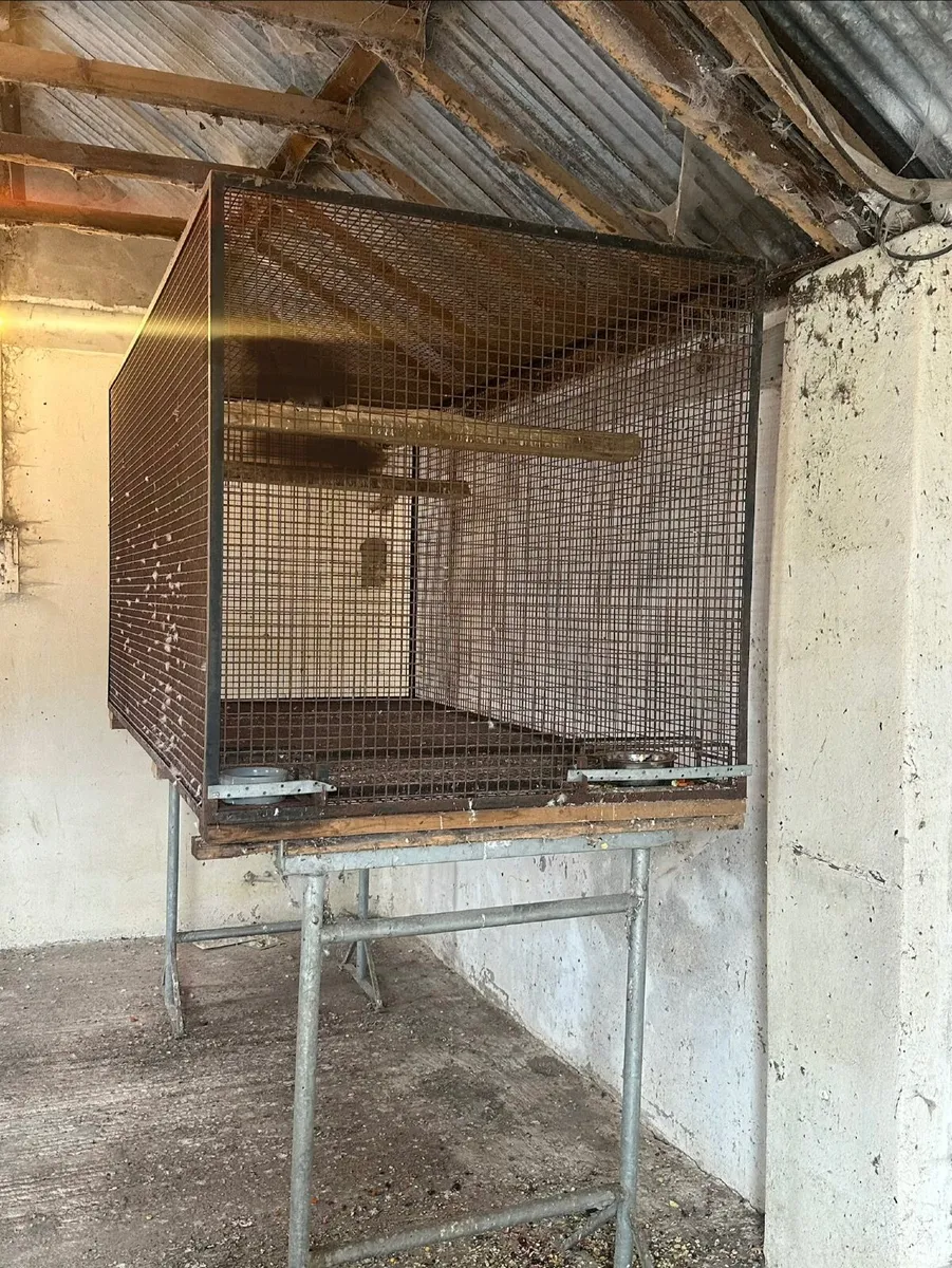 Large Metal Bird cage / Bird Aviary - Image 2