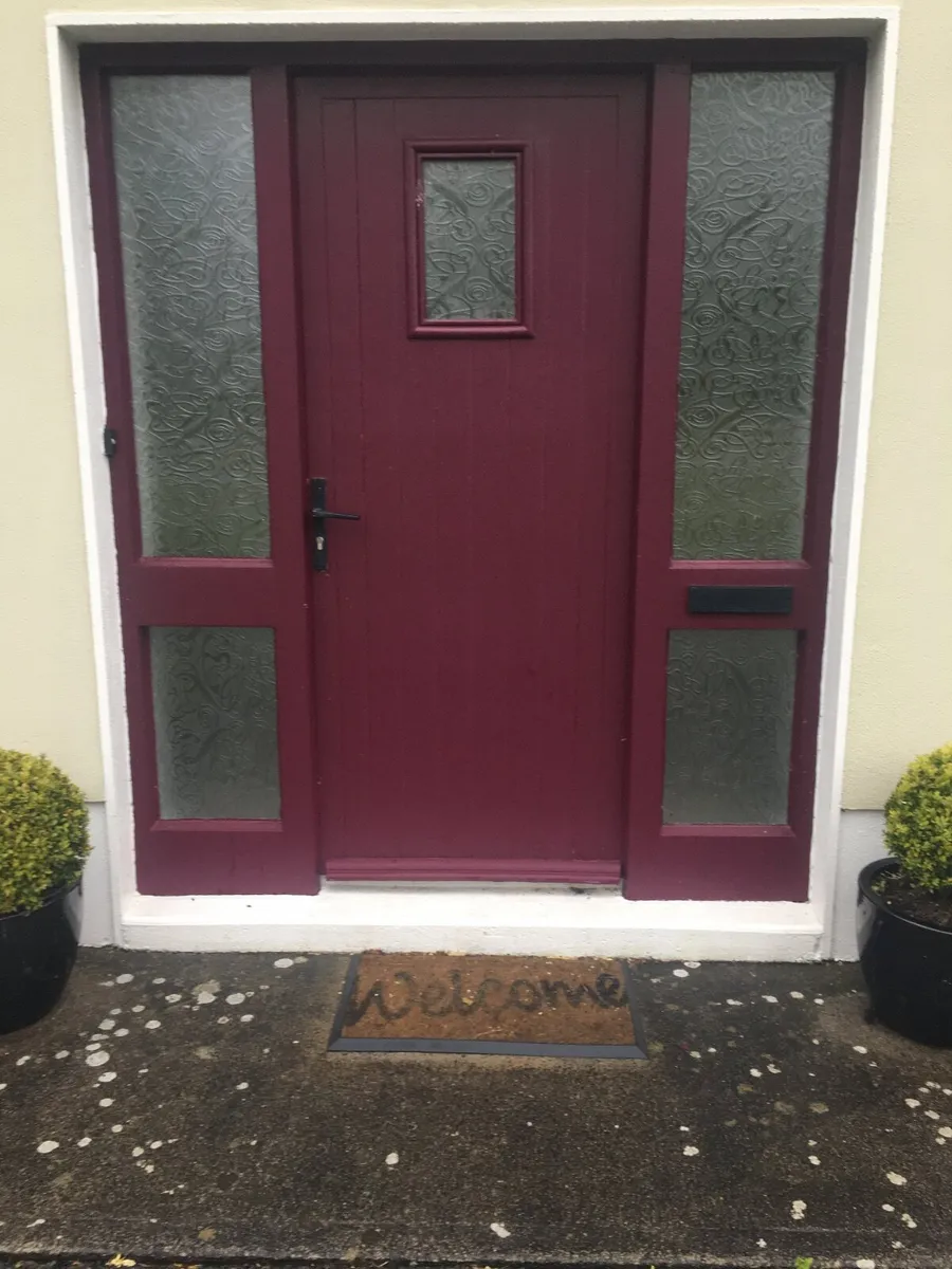 Front door - Image 1