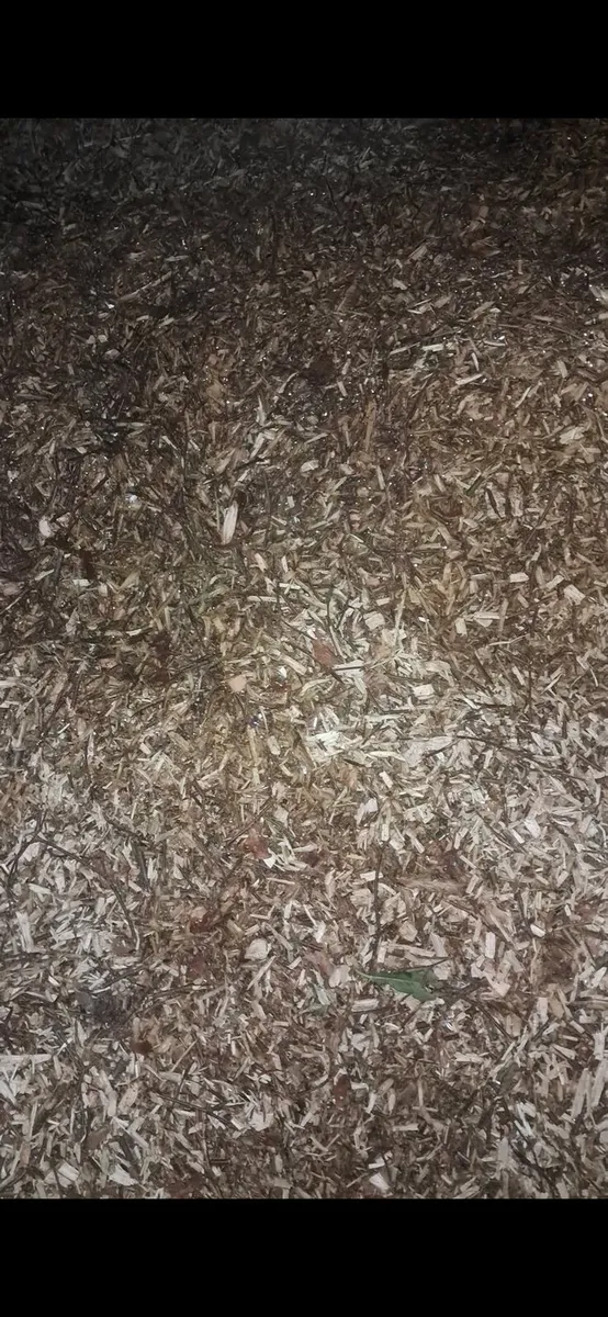 Woodchip for gardens - Image 2
