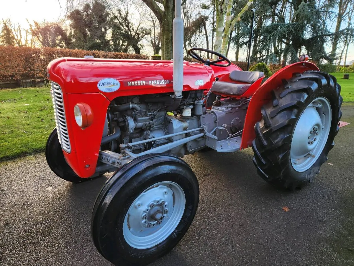 Massey Ferguson 35 - Image 2