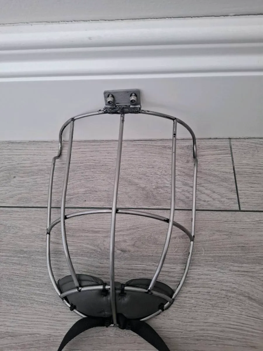 Kilkenny faceguard - Image 1