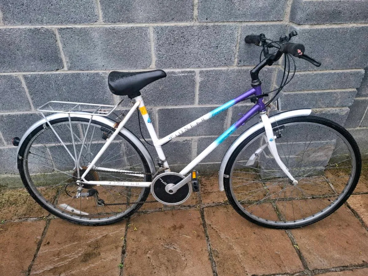 Raleigh Pioneer - Image 1