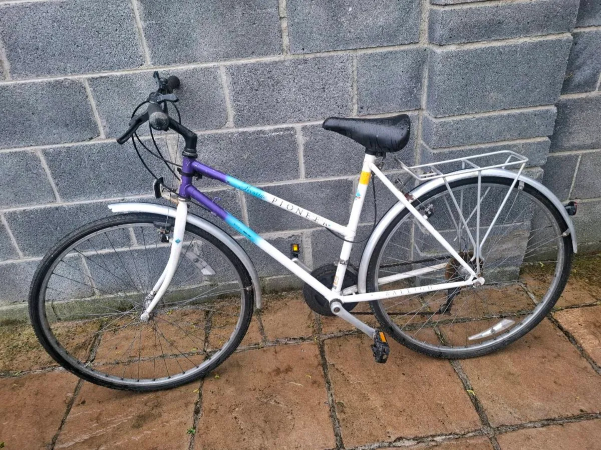 Raleigh Pioneer - Image 2