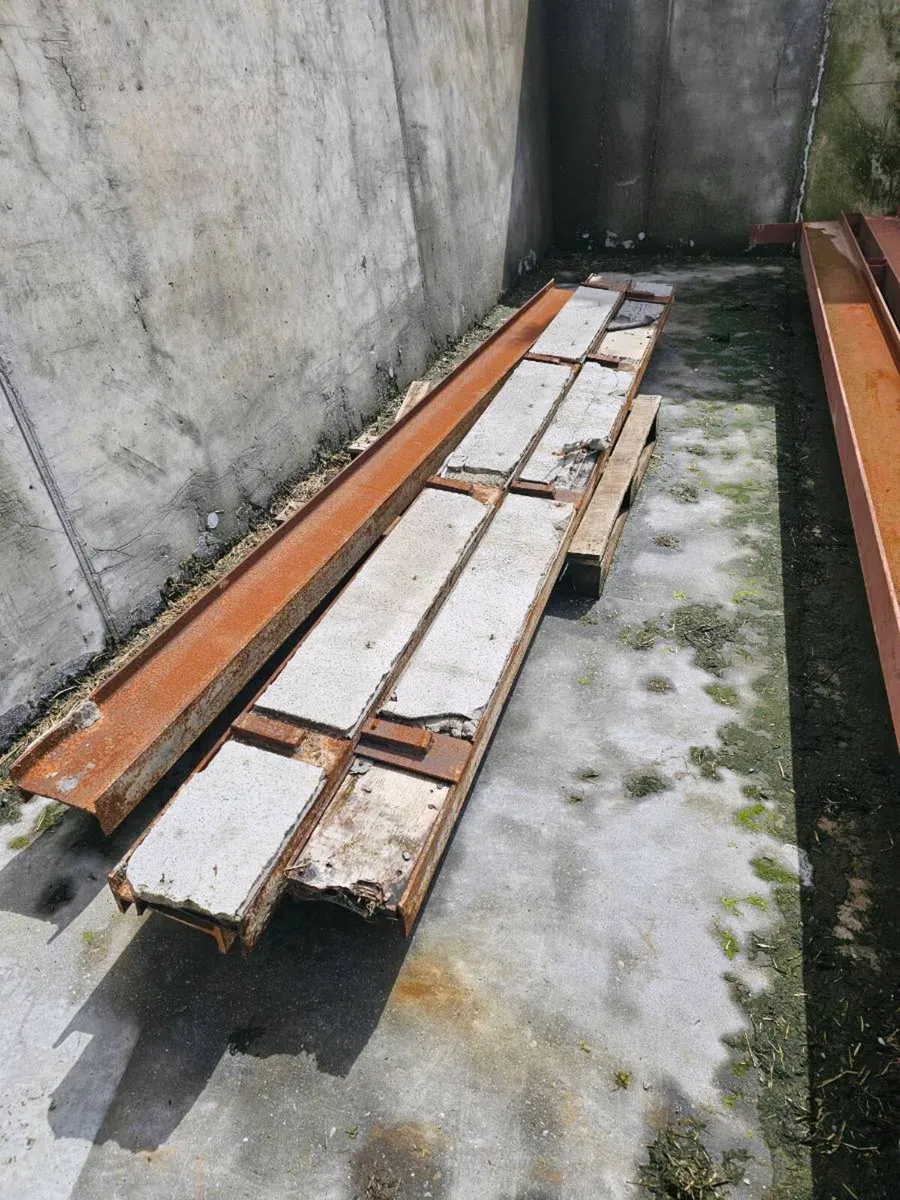Steel shed and doors - Image 4