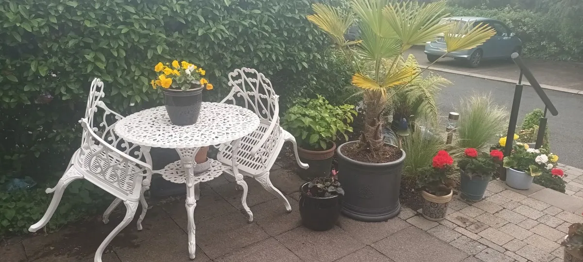 Garden Furniture - Image 1