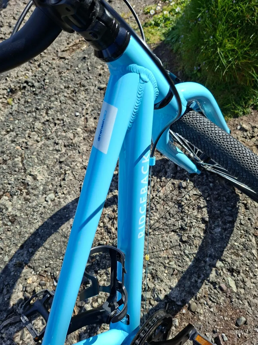 Ridgeback - Image 2