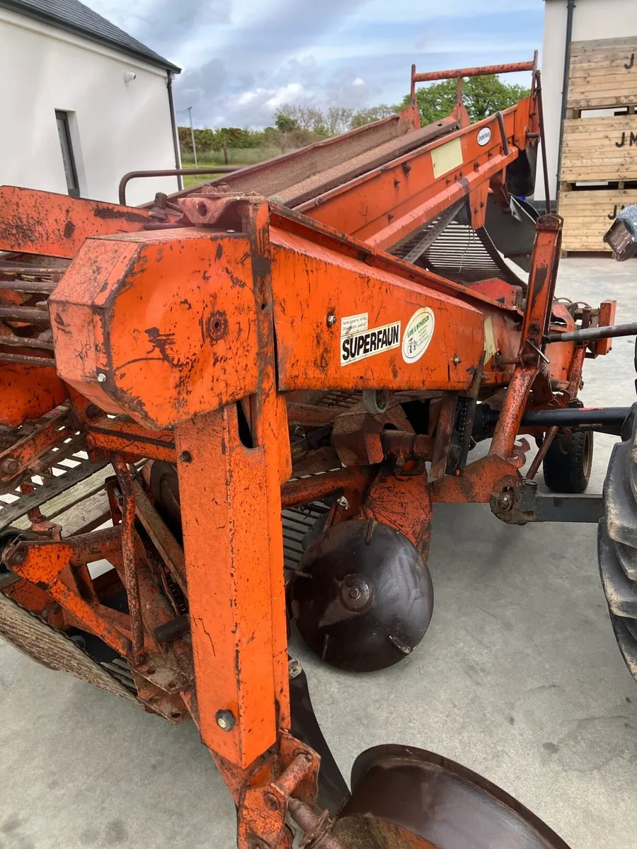 Superfaun 1700 potato harvester - Image 3
