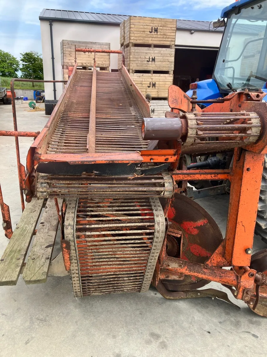 Superfaun 1700 potato harvester - Image 4