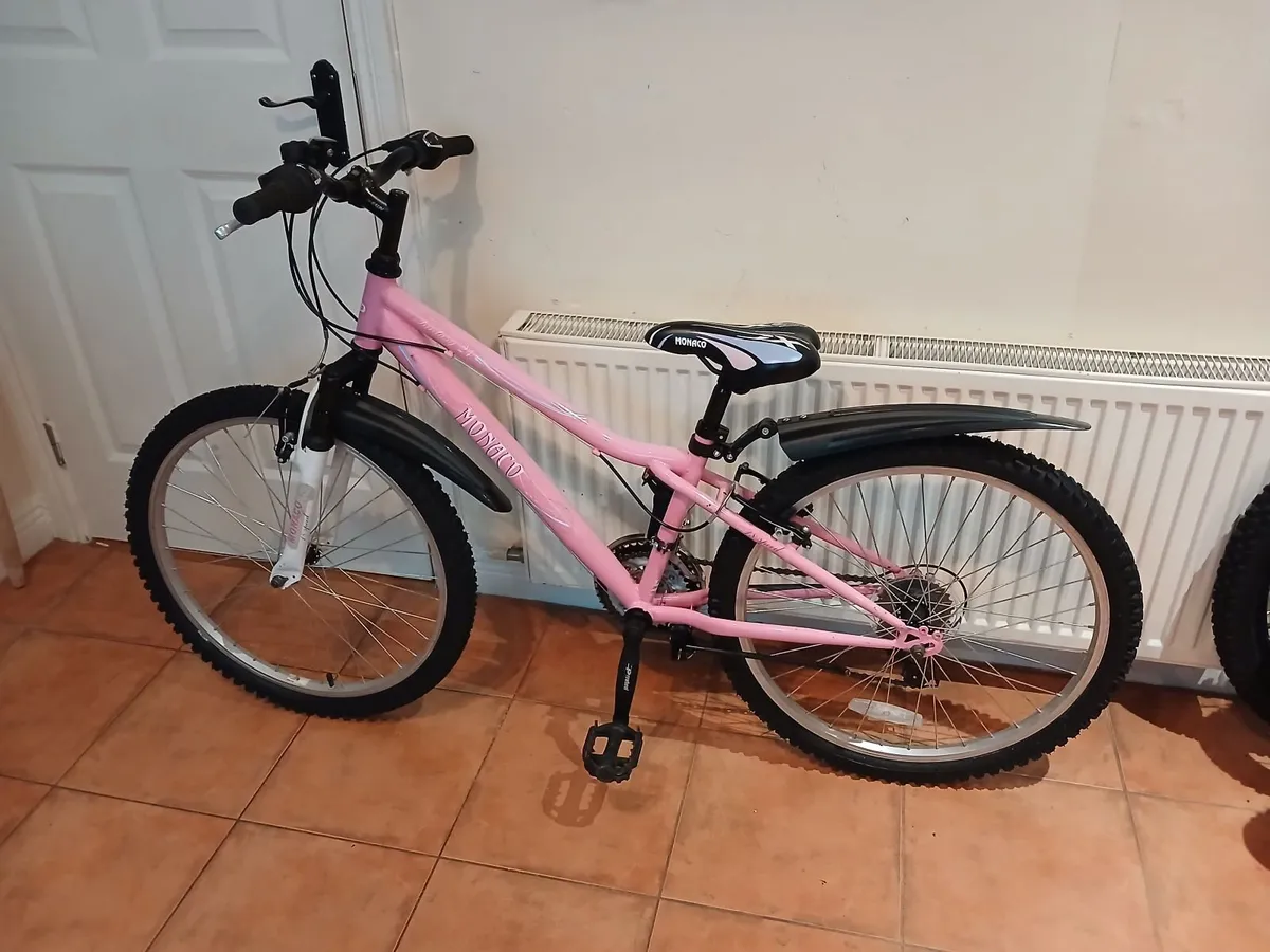 Bicycle - Image 1