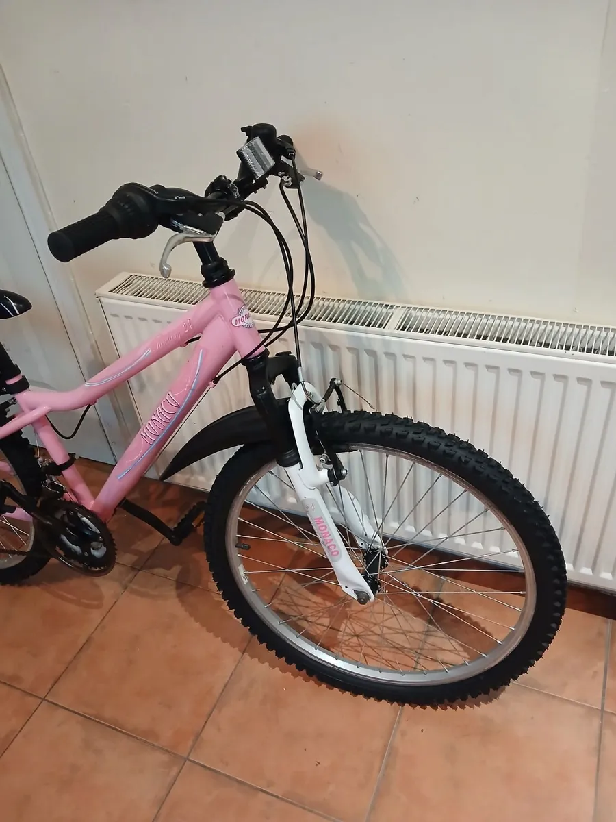 Bicycle - Image 4