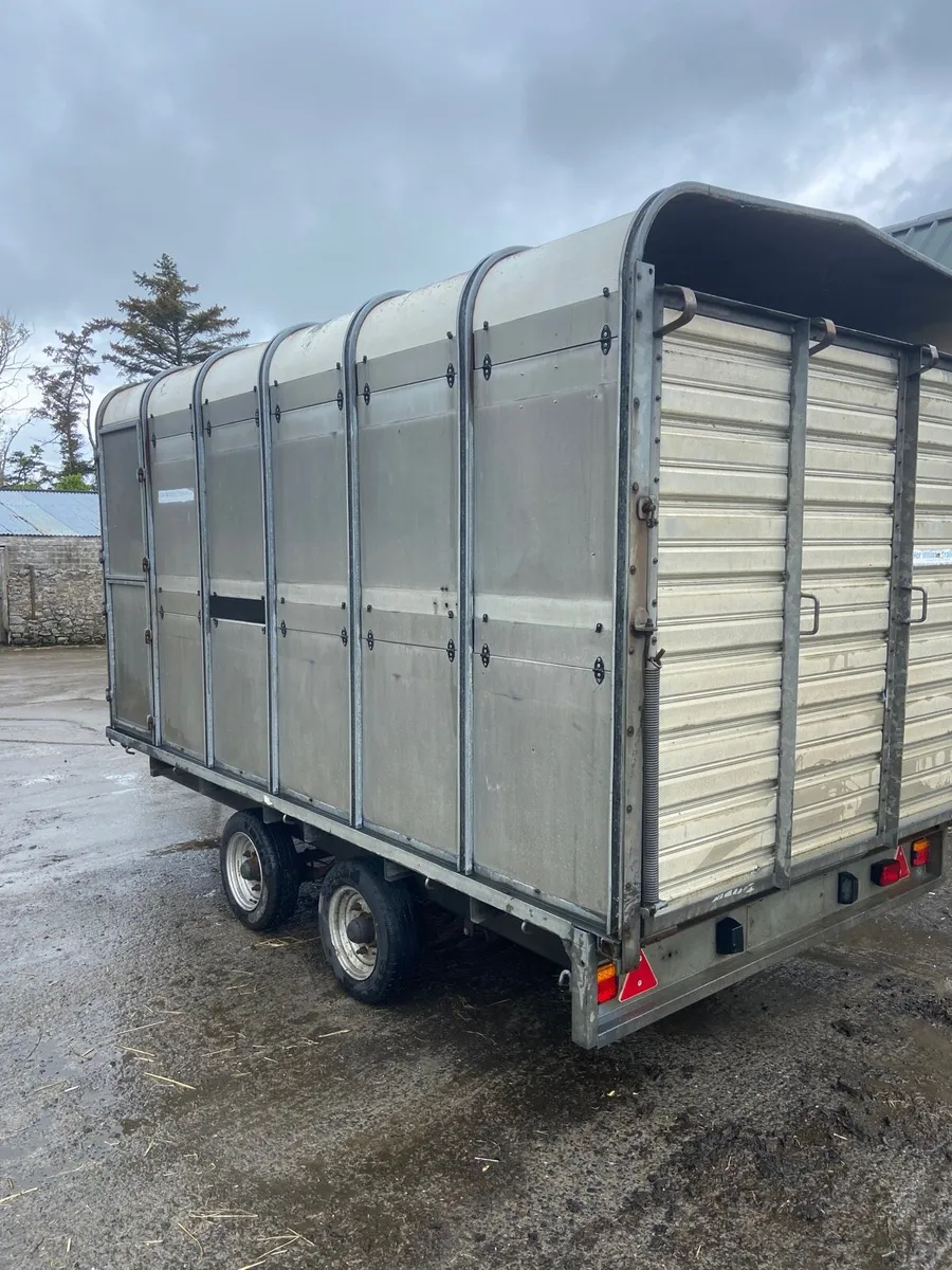 Ifor Williams 12x6 cattle trailer - Image 2