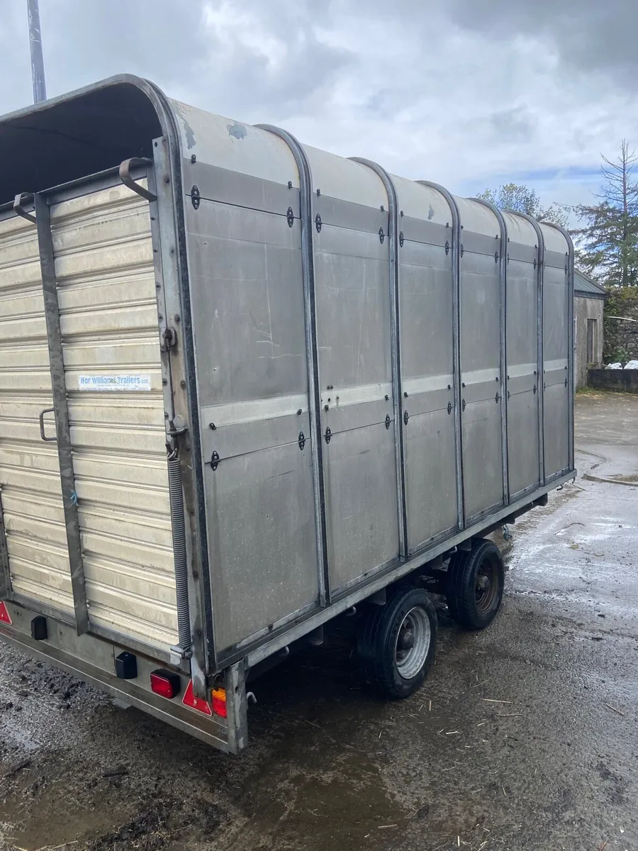 Ifor Williams 12x6 cattle trailer - Image 1